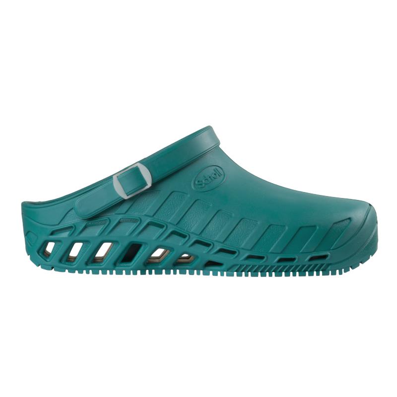 Scholl Clog Evo F26563 1361